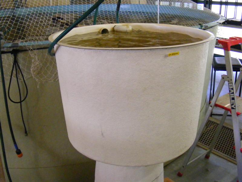 DSCF5085 (Medium).JPG