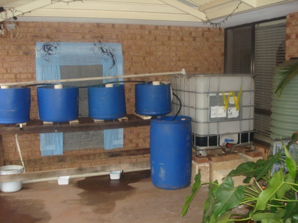 ibc not yet connected.JPG