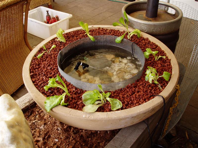 P1090301 (Medium).JPG