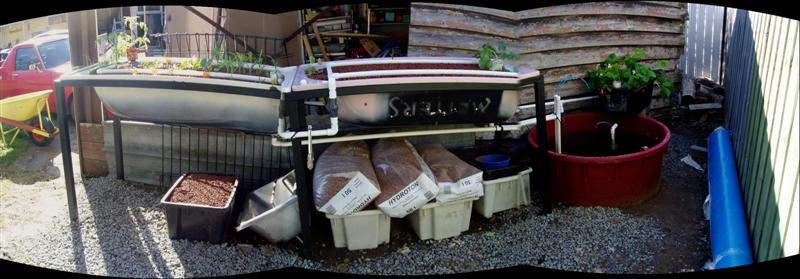 Dicko's 750L system (Medium).jpg