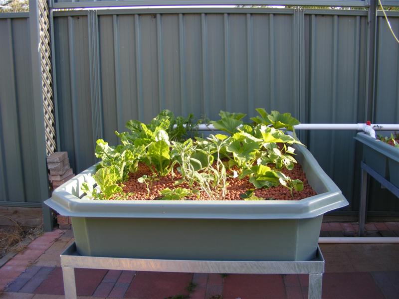 DSCF3790 (Medium).JPG