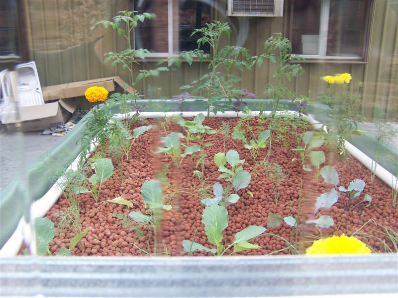 100_1960 (Medium).JPG