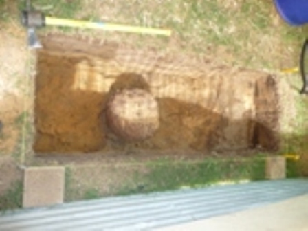 Who put that stump there.JPG