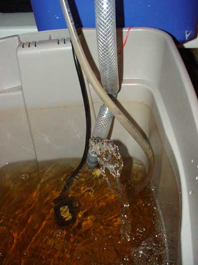 aquaponics_siphon.jpg