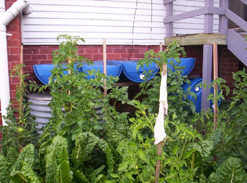 Aquaponics Project 024-small.jpg