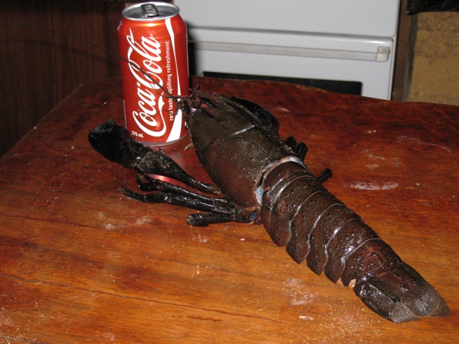 WORK PHOTOS.01 058.jpg