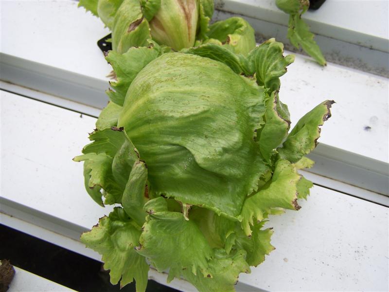 100_2028 (Medium).JPG