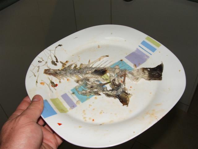 DSCF5707 (Small).JPG