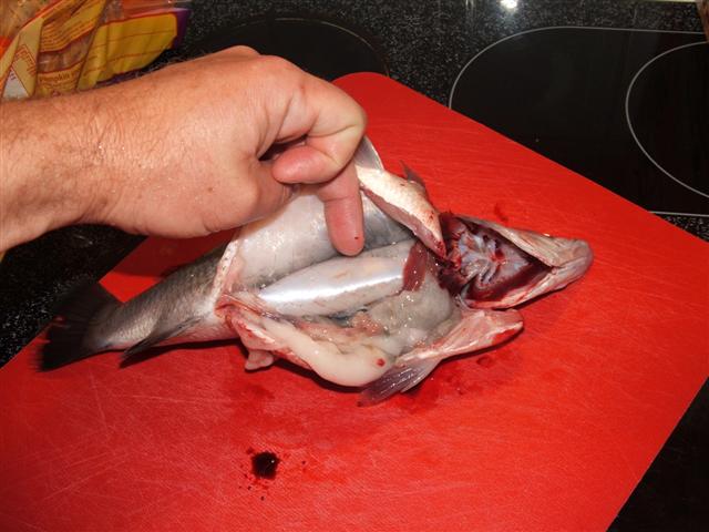 DSCF5706 (Small).JPG