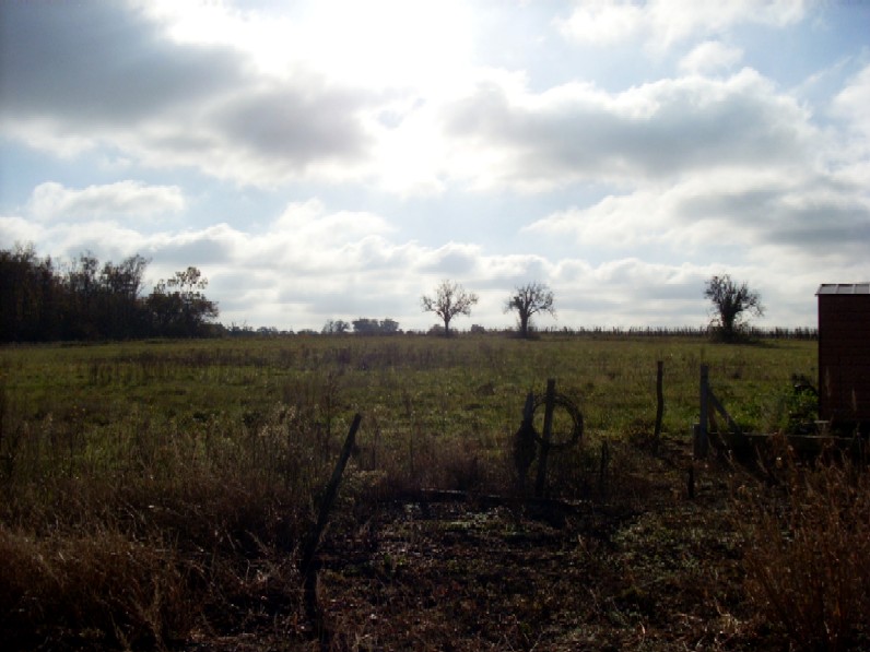 Terre haute 2ha 1.JPG