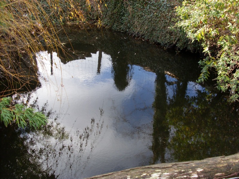 Trou d'eau source 1.JPG