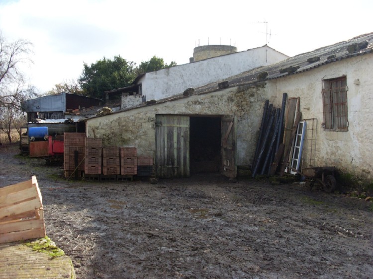 Chais derrière maison 1 C.JPG