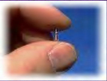 size of a grain of rice.jpg