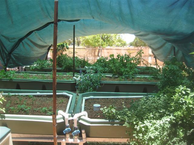 system 001 (Small).jpg