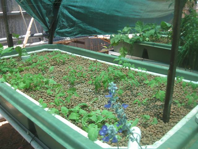 system 003 (Small).jpg