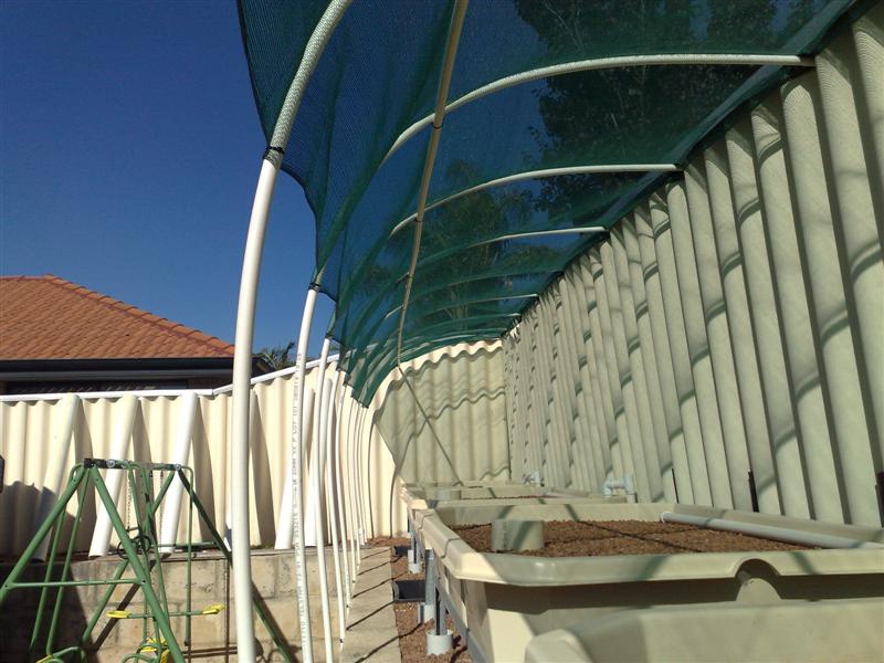 12122008227 (Medium).jpg