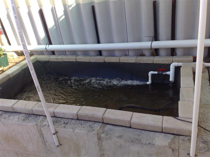 12122008229 (Medium).jpg