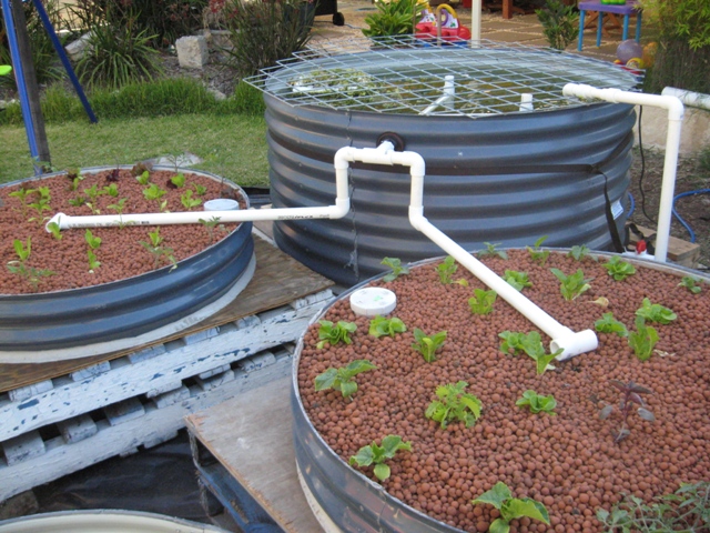 clay aquaponic grow beds.jpg