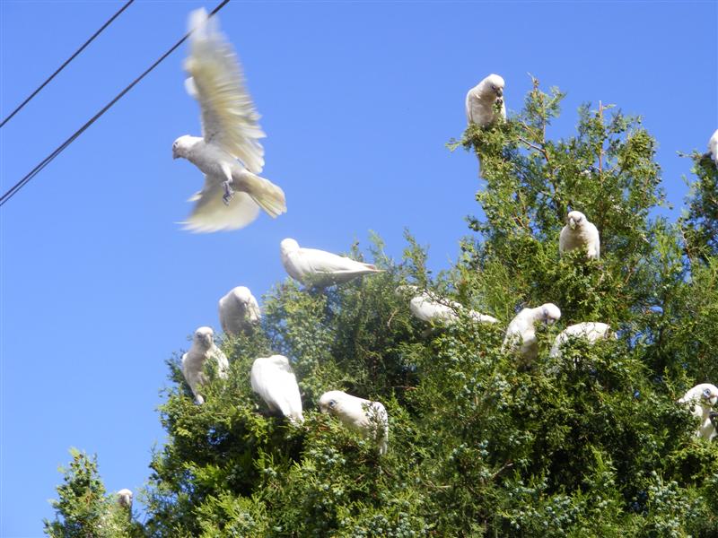 DSCF3841 (Medium).JPG