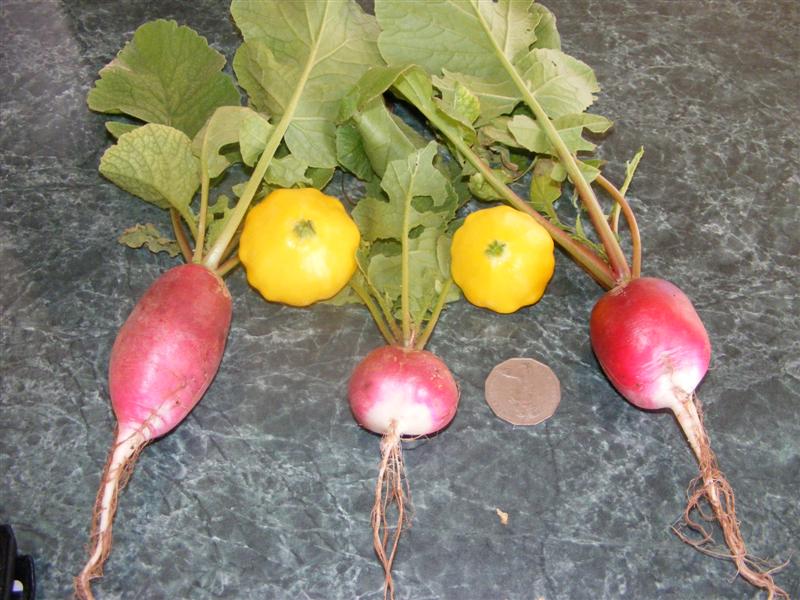 DSCF3862 (Medium).JPG