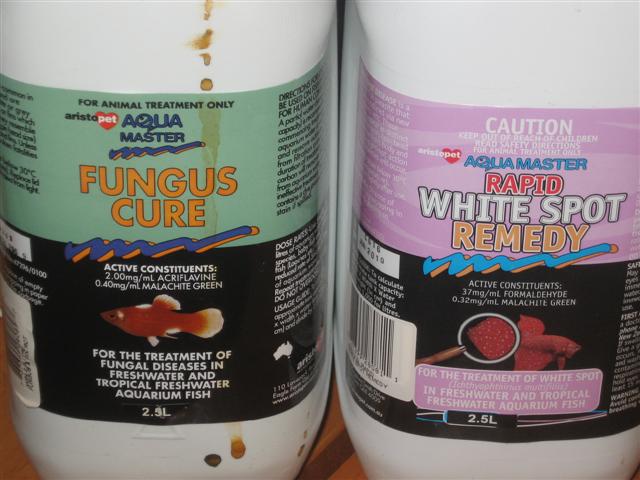 dead on arrival 004 (Small) (2).jpg