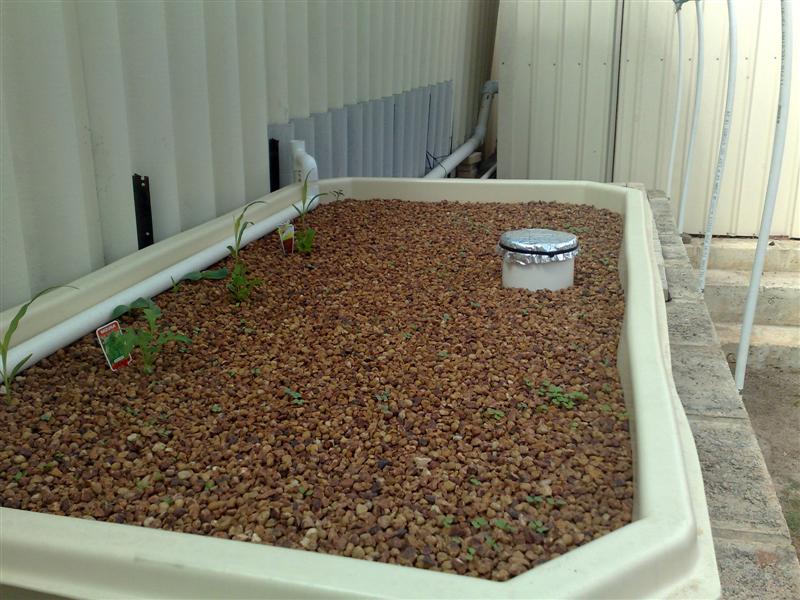 20122008234 (Medium).jpg