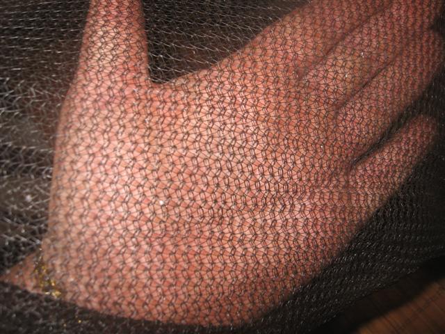 mesh (Small).jpg