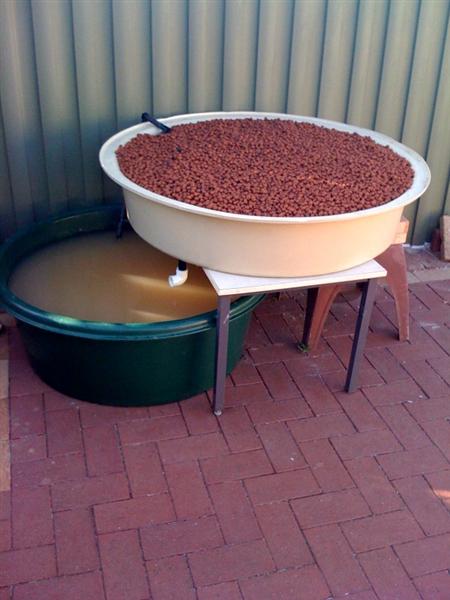 photo-1 (Medium).jpg