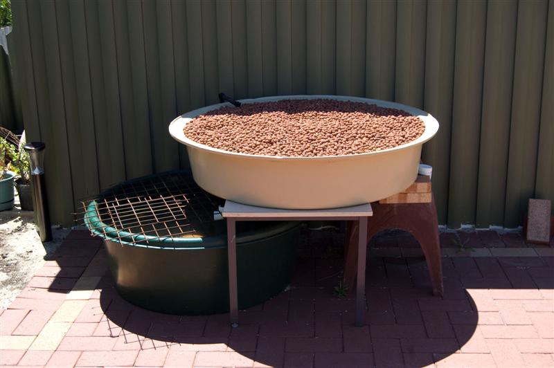 DSC_0689 (Medium).jpg