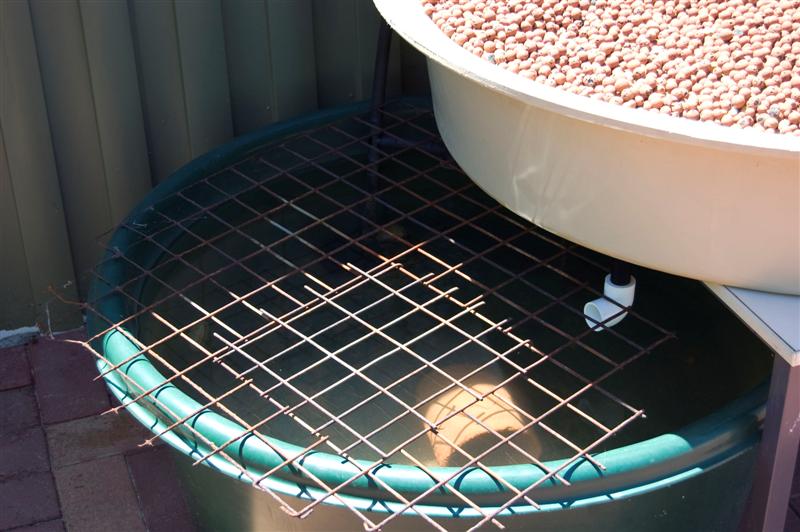 DSC_0690 (Medium).jpg