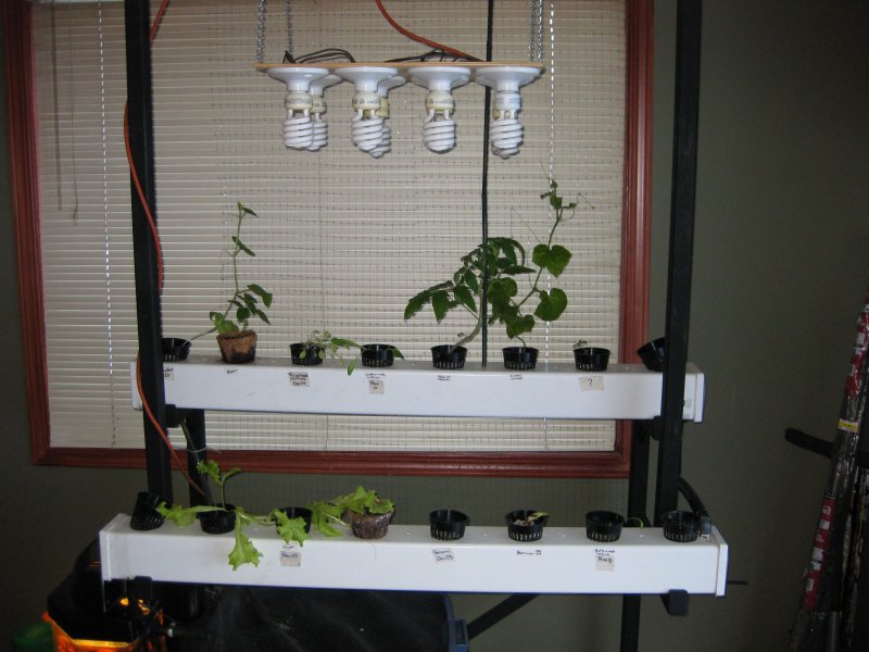 December 25 08 system.JPG