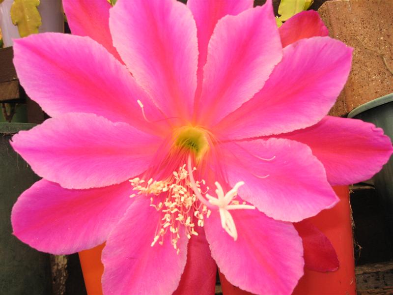 IMG_0059 (Medium).jpg