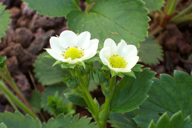 100_4047 (Small).JPG