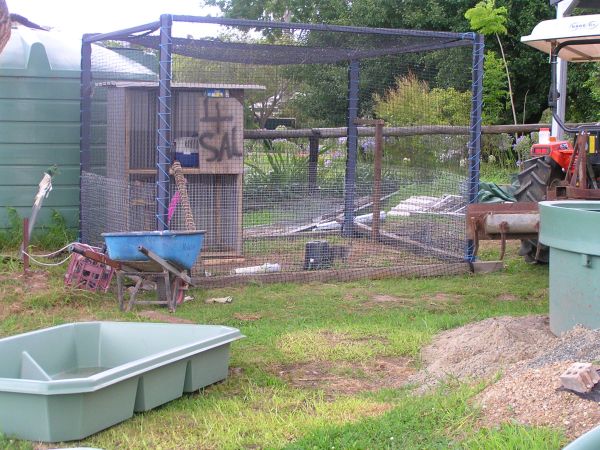 P1010070 - upload.bmp.jpg