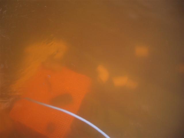 water murky 003 (Small).jpg