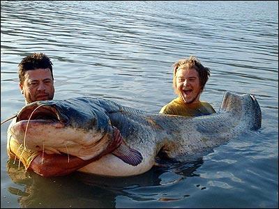 huge-catfish.jpg
