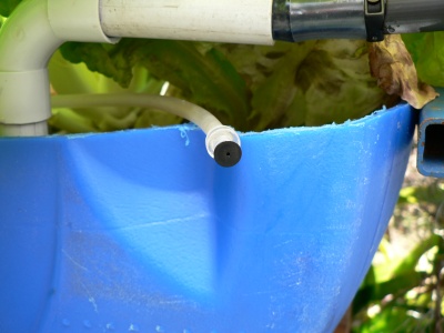 Syphon with plastic bung.JPG