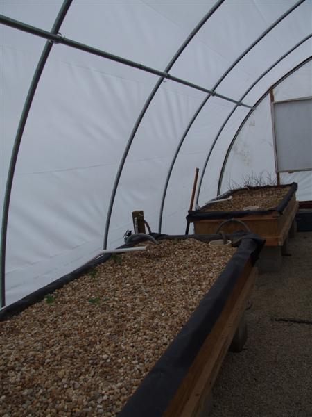 new lumber liner growbeds.JPG