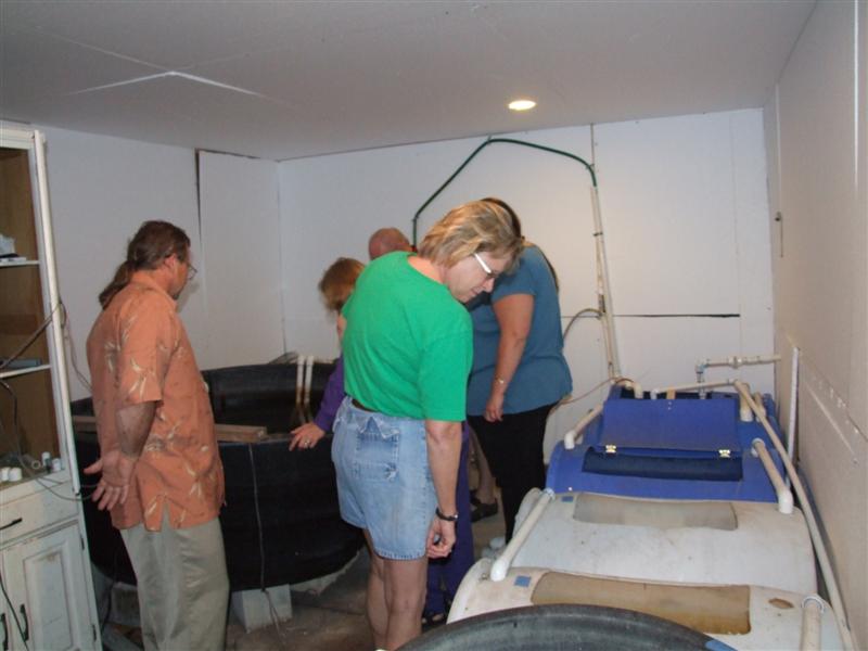 looking down into tanks.JPG