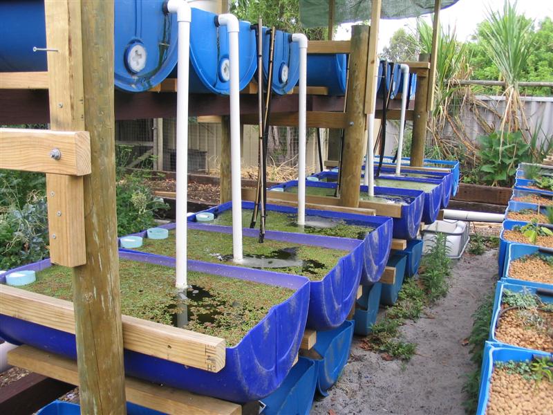 IMG_1988 (Medium).jpg