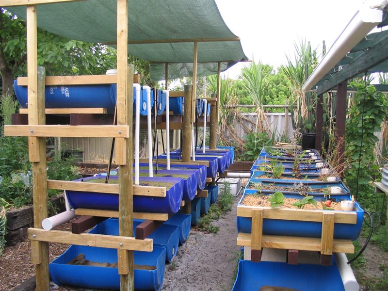 IMG_1989 (Medium).jpg