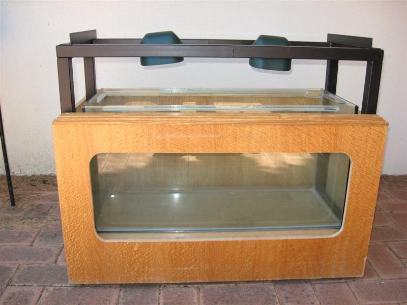 IMG_0065 (Medium).jpg