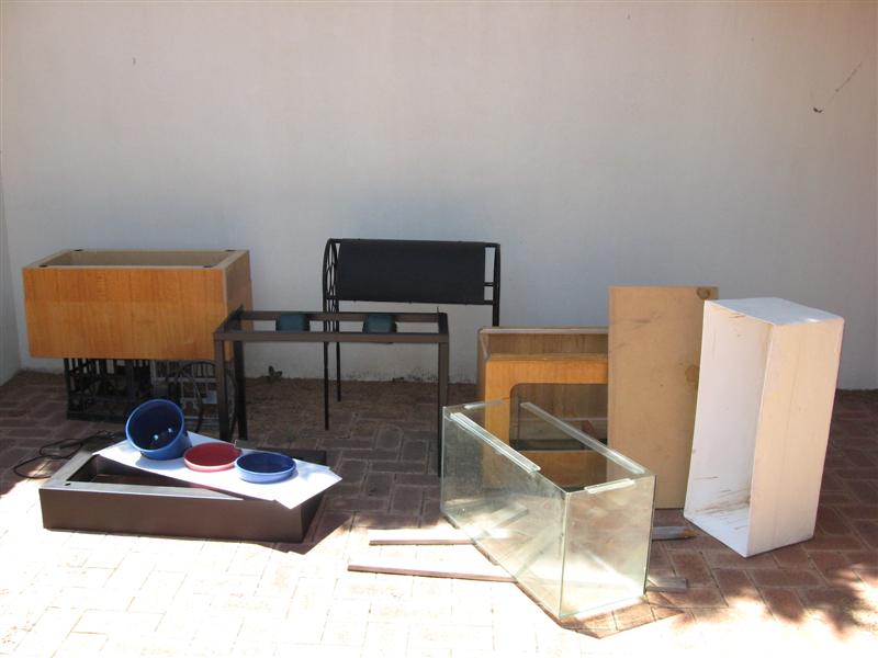 IMG_0063 (Medium).jpg