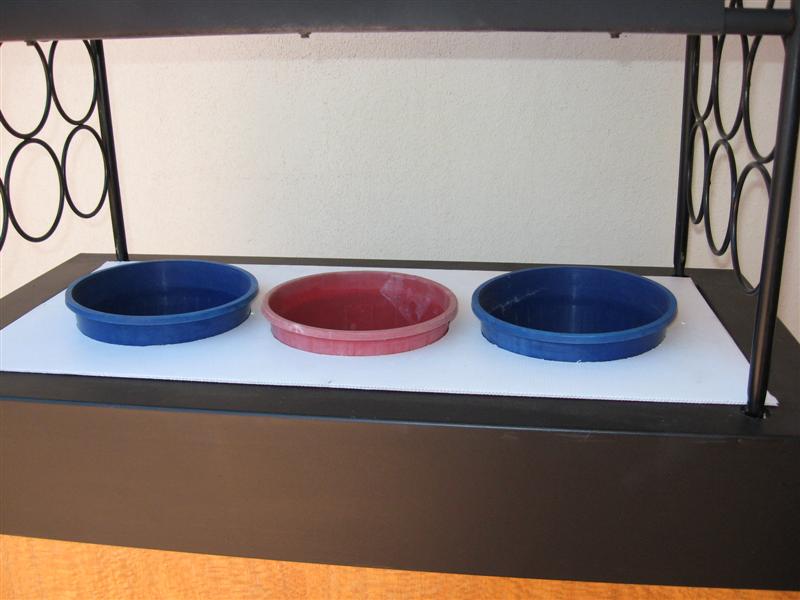 IMG_0069 (Medium).jpg