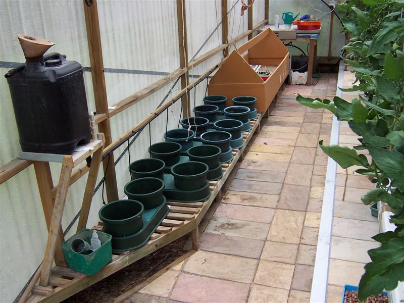 000_0160 (Medium).JPG