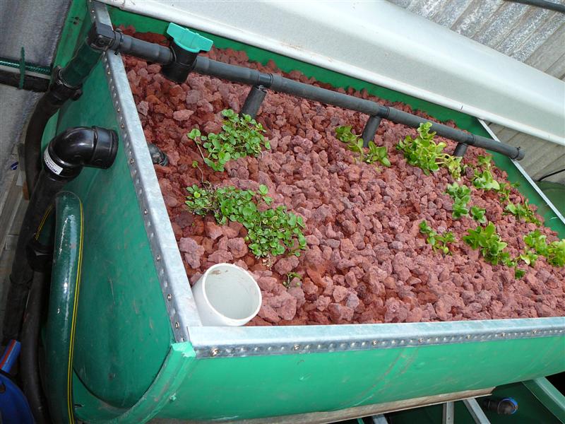 ss-27'12'08 088 (Medium).jpg