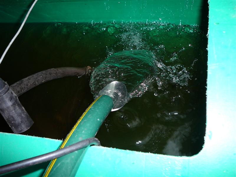 ss-27'12'08 086 (Medium).jpg