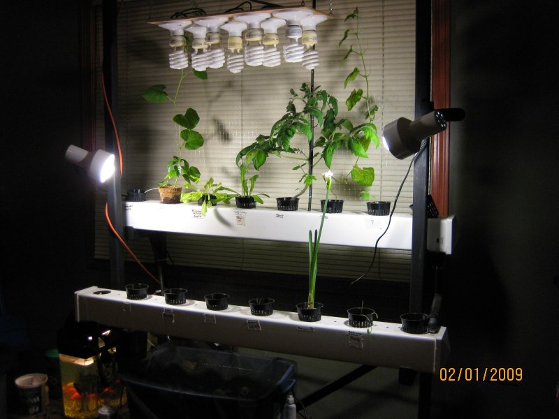 System 02_01_2009.jpg