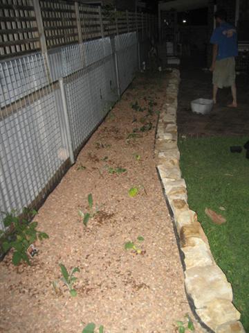 planting seedlings (Small).jpg
