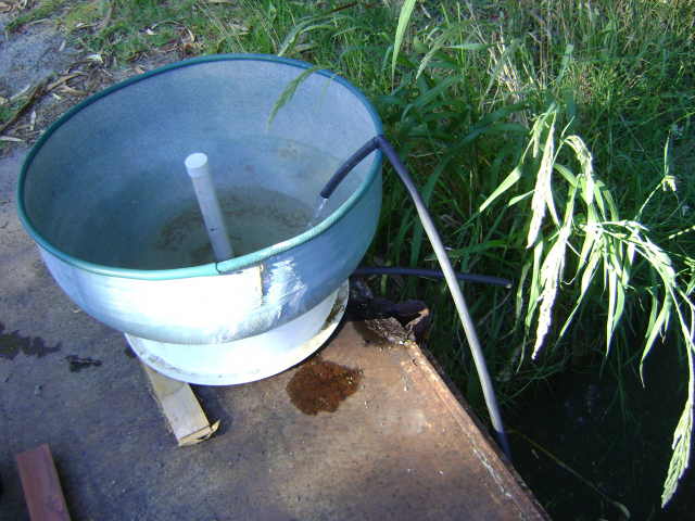 Aquaponics 03.jpg